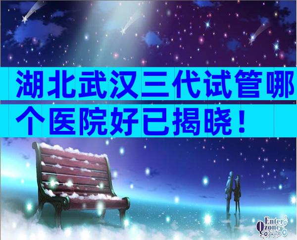 湖北武汉三代试管哪个医院好已揭晓！