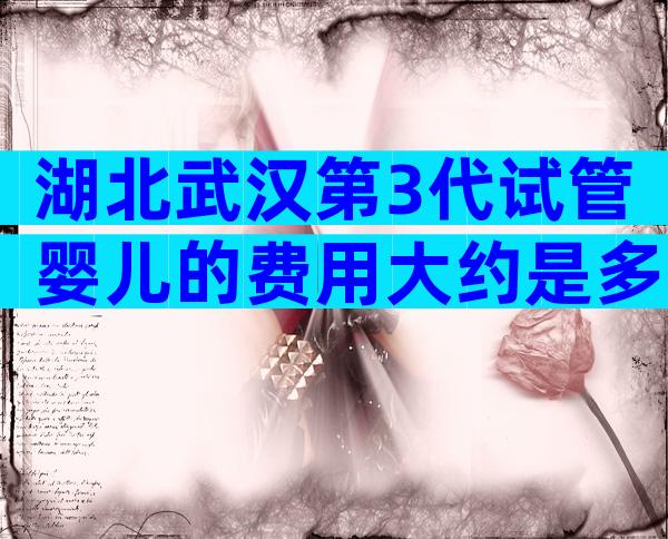 湖北武汉第3代试管婴儿的费用大约是多少