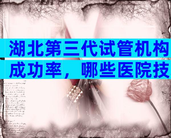 湖北第三代试管机构成功率，哪些医院技术比较好