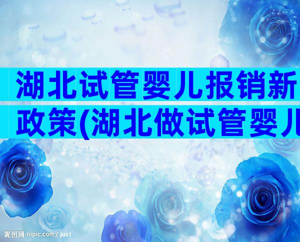 湖北试管婴儿报销新政策(湖北做试管婴儿医院)