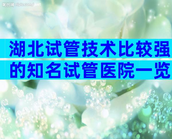 湖北试管技术比较强的知名试管医院一览