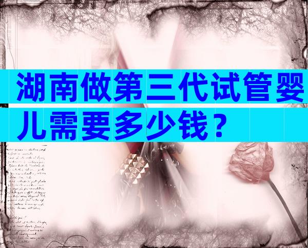 湖南做第三代试管婴儿需要多少钱？