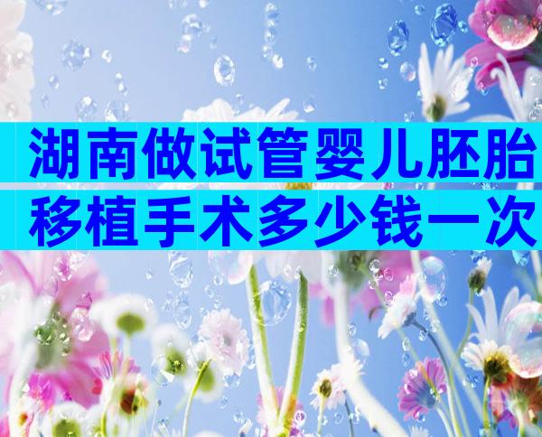湖南做试管婴儿胚胎移植手术多少钱一次？如何节省费用？