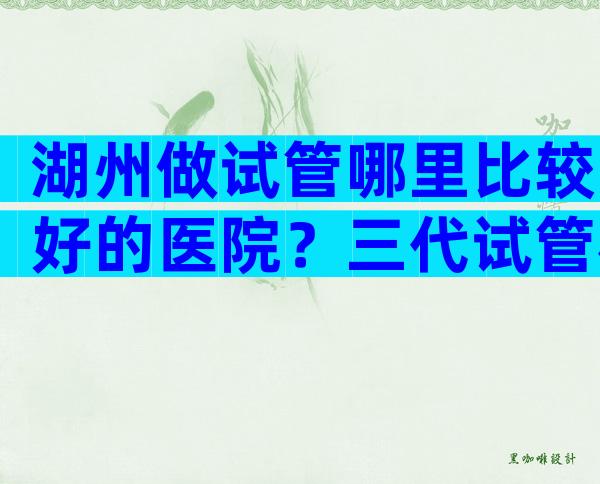 湖州做试管哪里比较好的医院？三代试管机构推荐