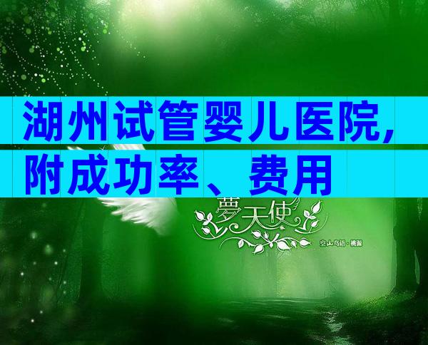 湖州试管婴儿医院,附成功率、费用