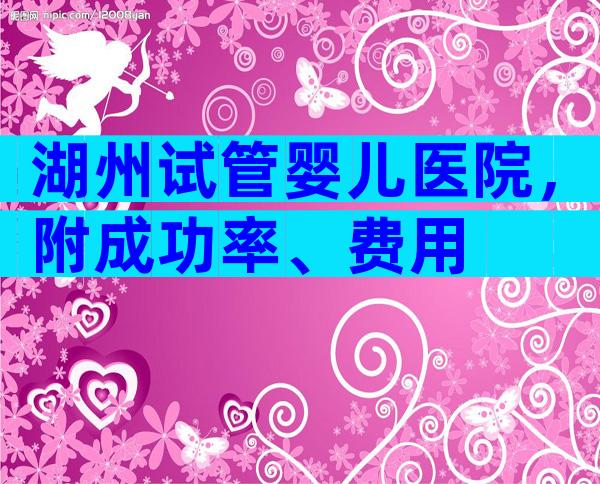 湖州试管婴儿医院，附成功率、费用