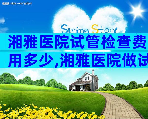 湘雅医院试管检查费用多少,湘雅医院做试管要多少钱