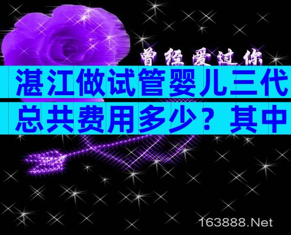 湛江做试管婴儿三代总共费用多少？其中妇幼保健院名列前茅