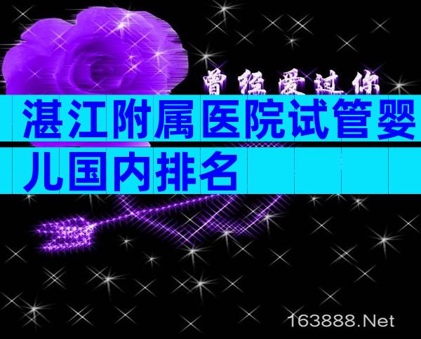 湛江附属医院试管婴儿国内排名