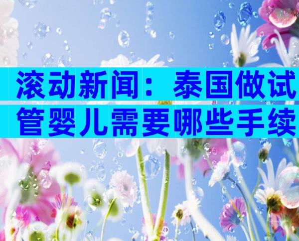 滚动新闻：泰国做试管婴儿需要哪些手续？附自助攻略