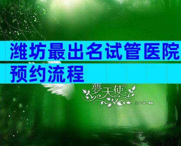 潍坊最出名试管医院预约流程