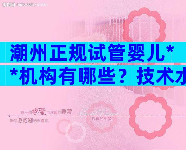 潮州正规试管婴儿**机构有哪些？技术水平如何？