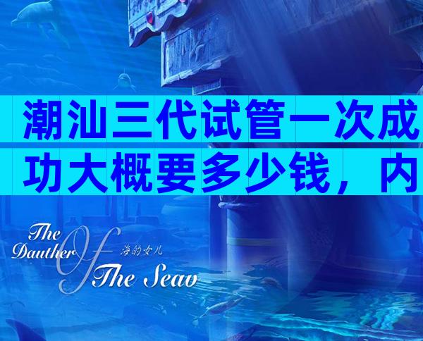 潮汕三代试管一次成功大概要多少钱，内附试管技术项目一览