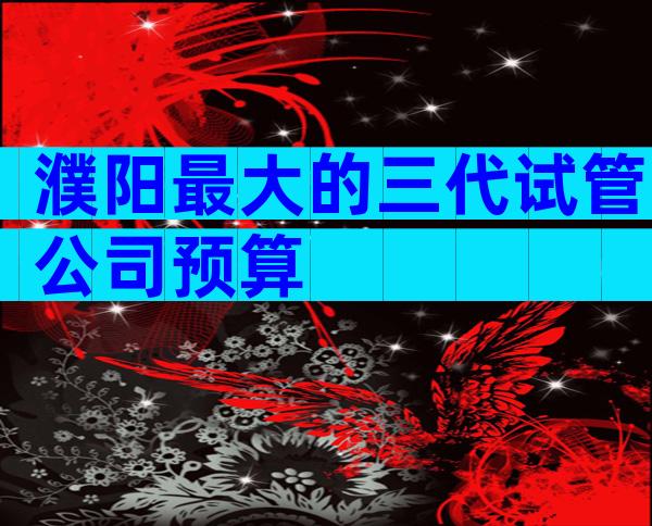 濮阳最大的三代试管公司预算