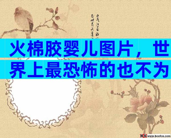 火棉胶婴儿图片，世界上最恐怖的也不为过