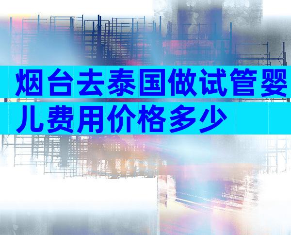 烟台去泰国做试管婴儿费用价格多少
