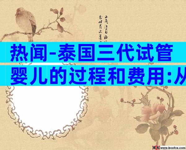热闻-泰国三代试管婴儿的过程和费用:从开始到成功全解析!