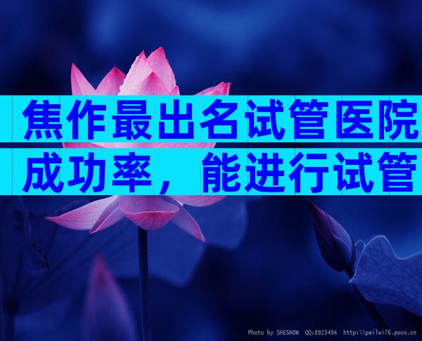 焦作最出名试管医院成功率，能进行试管婴儿吗