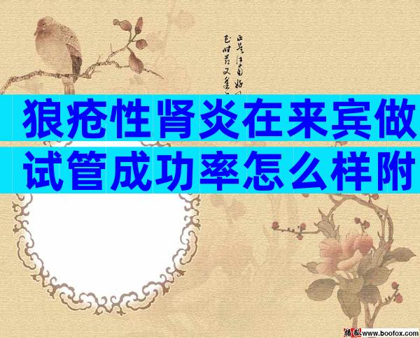 狼疮性肾炎在来宾做试管成功率怎么样附费用流程解读