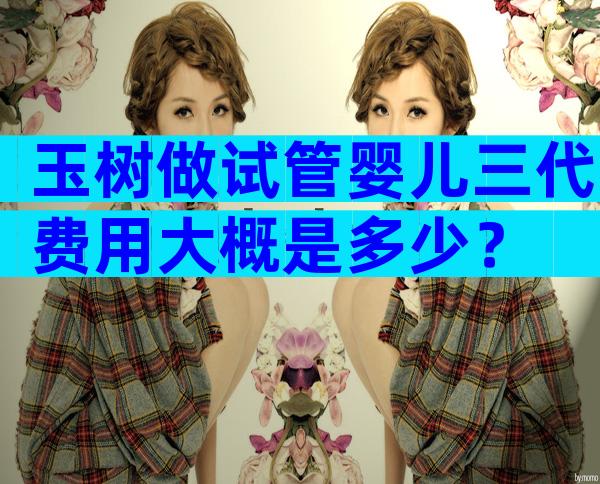 玉树做试管婴儿三代费用大概是多少？