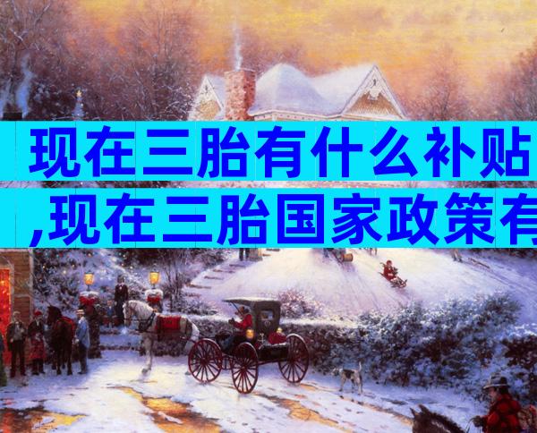 现在三胎有什么补贴,现在三胎国家政策有补助吗