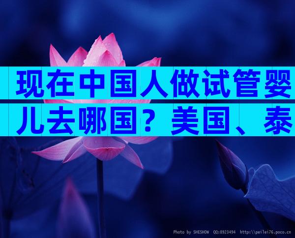现在中国人做试管婴儿去哪国？美国、泰国、日本优势全解析