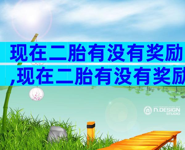 现在二胎有没有奖励,现在二胎有没有奖励过