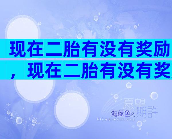 现在二胎有没有奖励，现在二胎有没有奖励过