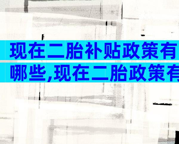 现在二胎补贴政策有哪些,现在二胎政策有补助吗