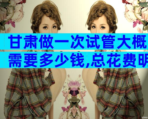 甘肃做一次试管大概需要多少钱,总花费明细经验