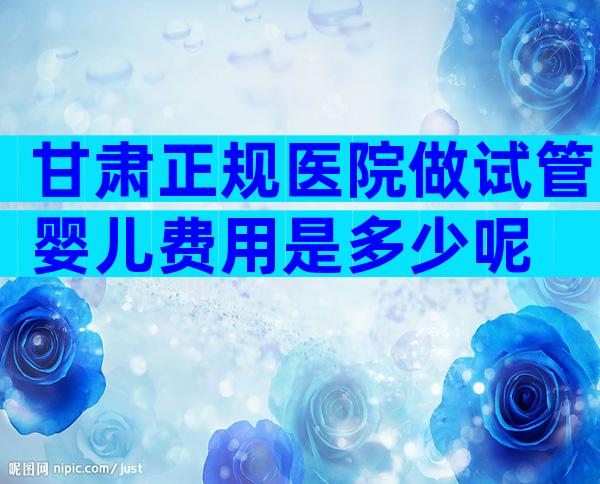 甘肃正规医院做试管婴儿费用是多少呢