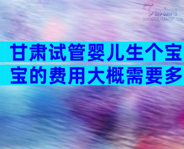 甘肃试管婴儿生个宝宝的费用大概需要多少钱？二院可以吗？