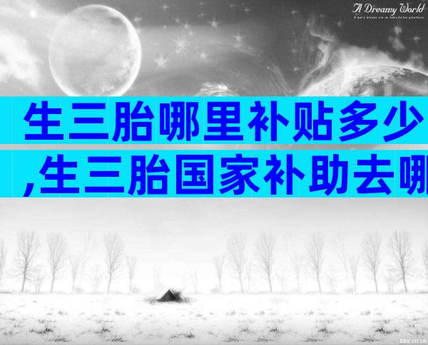 生三胎哪里补贴多少,生三胎国家补助去哪里领
