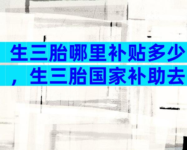 生三胎哪里补贴多少，生三胎国家补助去哪里领