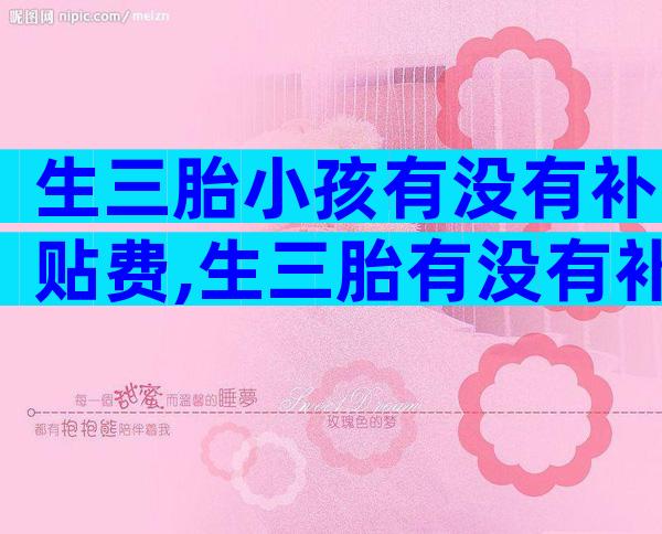 生三胎小孩有没有补贴费,生三胎有没有补助金