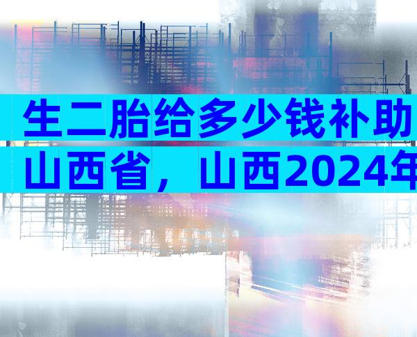 生二胎给多少钱补助山西省，山西2024年二胎有补助金吗