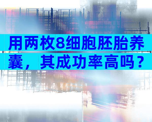 用两枚8细胞胚胎养囊，其成功率高吗？