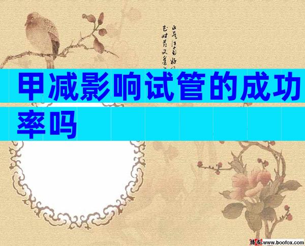甲减影响试管的成功率吗