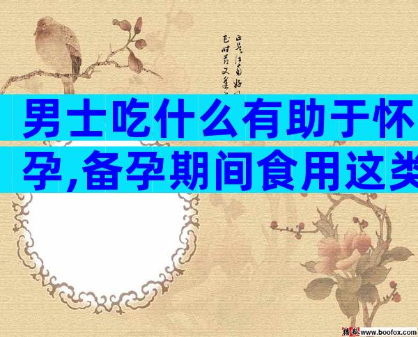 男士吃什么有助于怀孕,备孕期间食用这类食物,让你成功受孕!