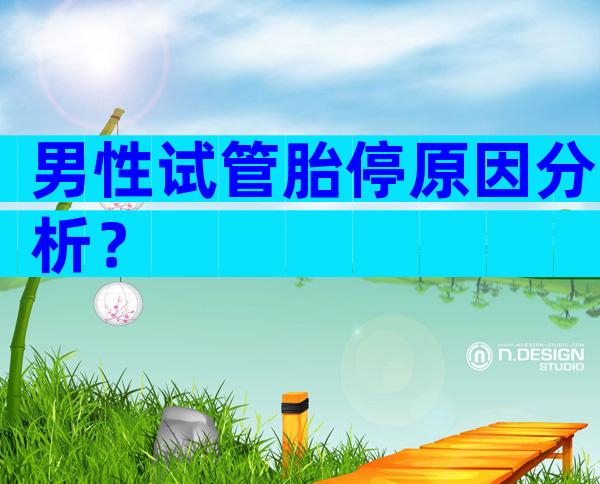 男性试管胎停原因分析？