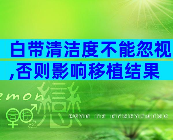 白带清洁度不能忽视,否则影响移植结果