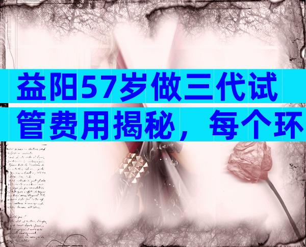 益阳57岁做三代试管费用揭秘，每个环节是怎么收费的？