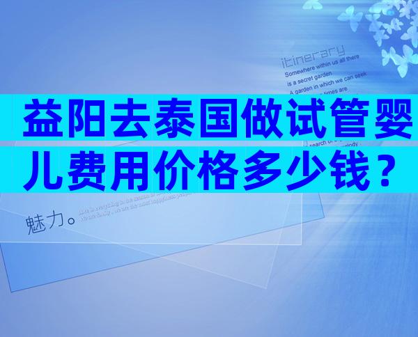 益阳去泰国做试管婴儿费用价格多少钱？