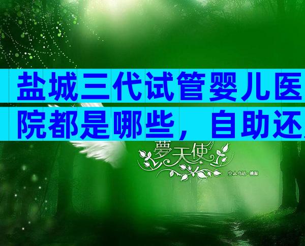 盐城三代试管婴儿医院都是哪些，自助还是找机构