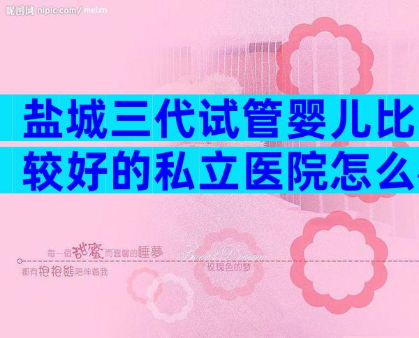 盐城三代试管婴儿比较好的私立医院怎么样,附成功率及等待时间