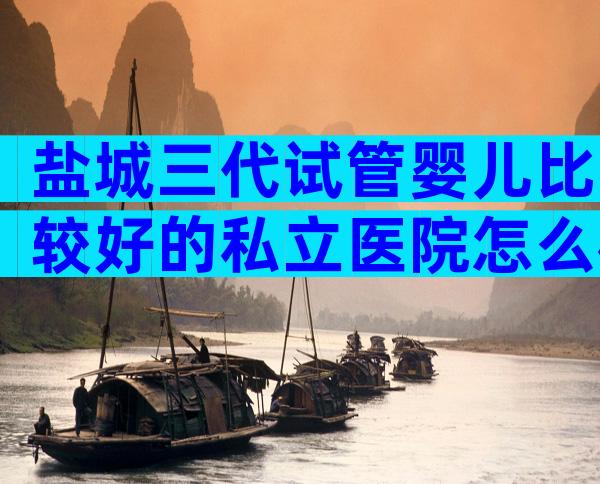 盐城三代试管婴儿比较好的私立医院怎么样，附成功率及等待时间