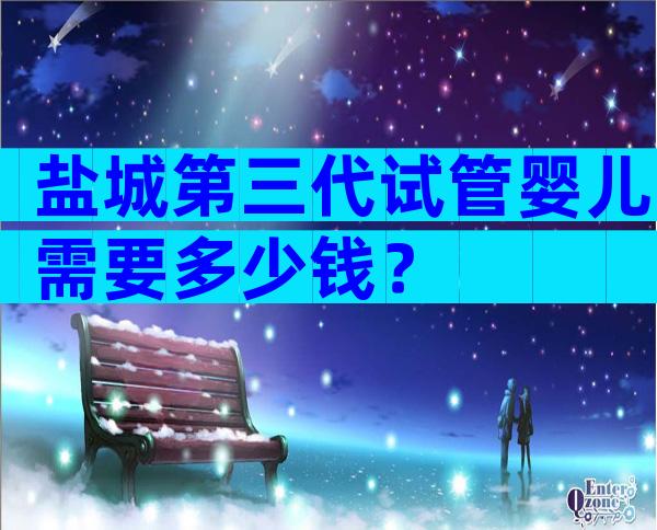 盐城第三代试管婴儿需要多少钱？