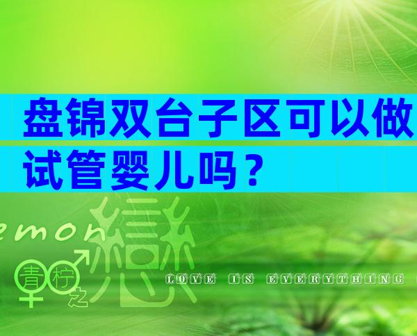 盘锦双台子区可以做试管婴儿吗？