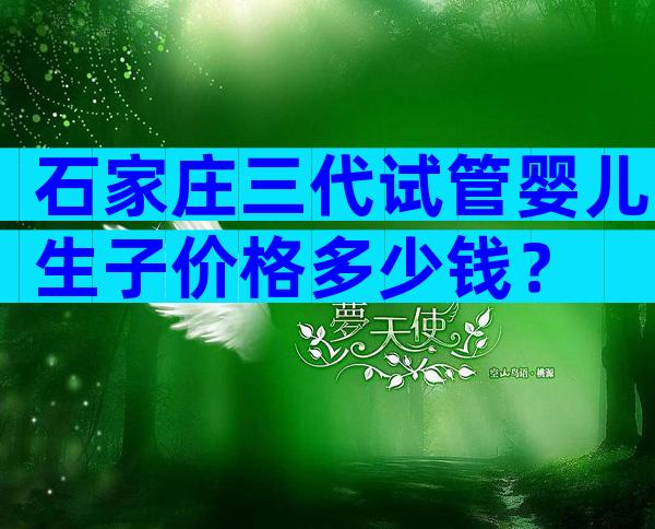 石家庄三代试管婴儿生子价格多少钱？