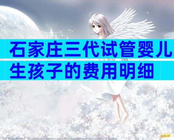 石家庄三代试管婴儿生孩子的费用明细